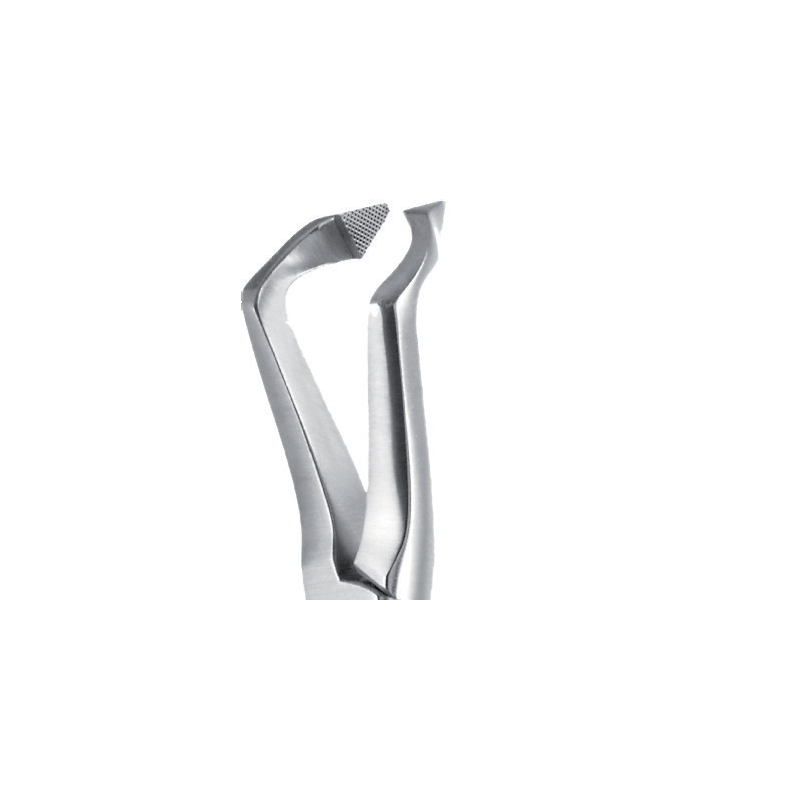 Pince instr. canalaire Tungstene