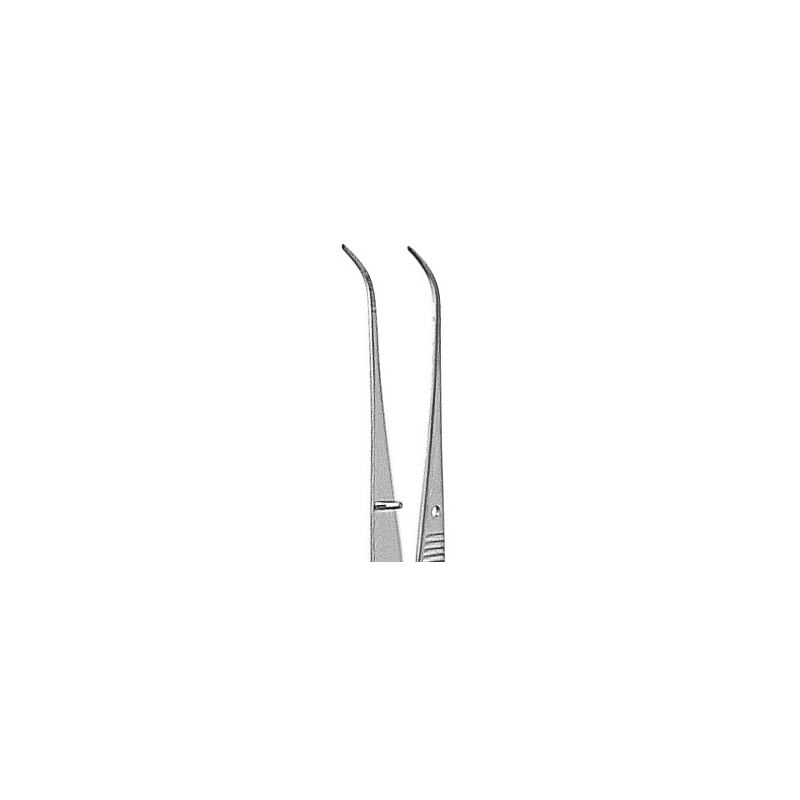 Precelle SEMKIN-TAYLOR cbe 12,5 cm