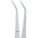 PRECELLE COLLEGE Forte 15cm