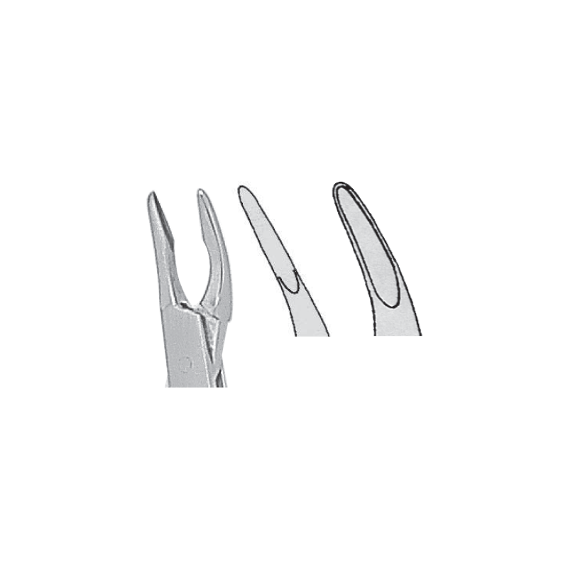 Pince-gouge de FRIEDMAN 14cm
