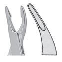 Pince-gouge de LUER 15cm