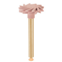 (B2) TWIST ROSE COMPO CA 100