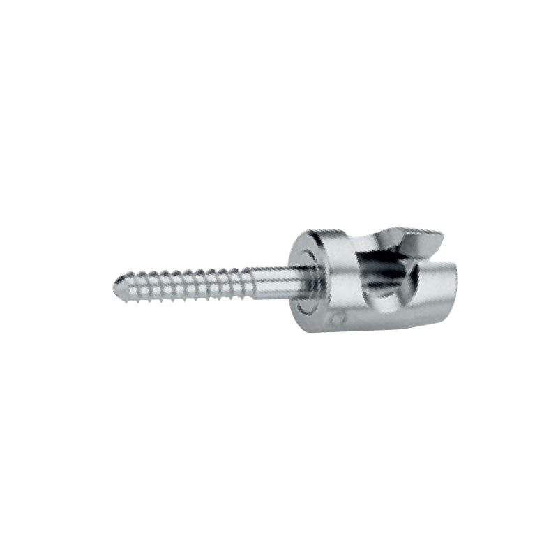 Vis courte 10 mm diam 1 6 (x2)