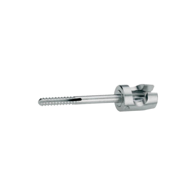 Vis courte 10 mm diam 2 1 (x2)
