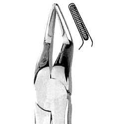 Davier MEDIUM fig.51 AD