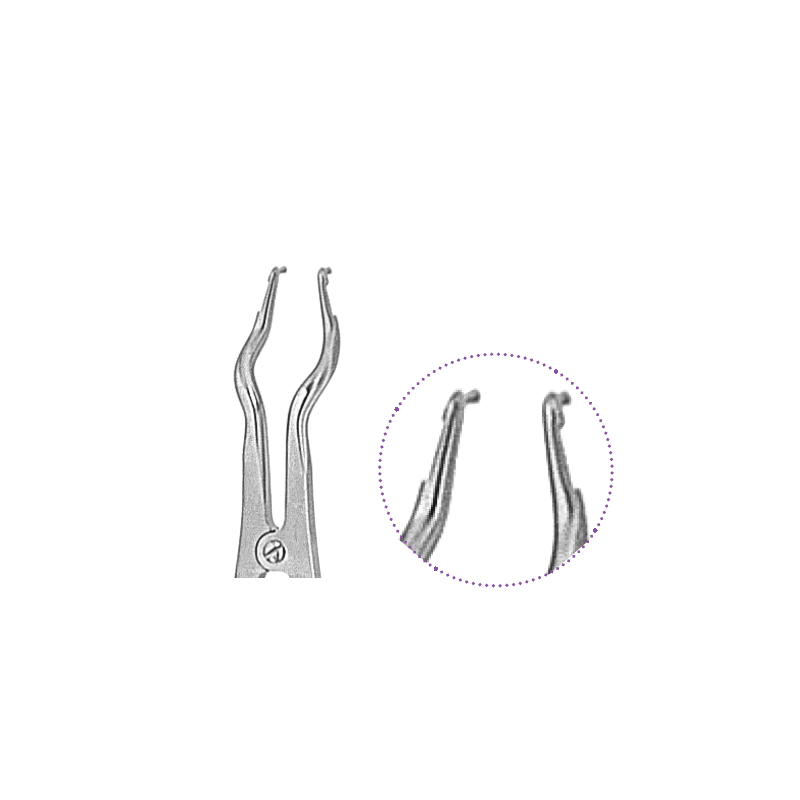 Pince porte-crampon de BREWER