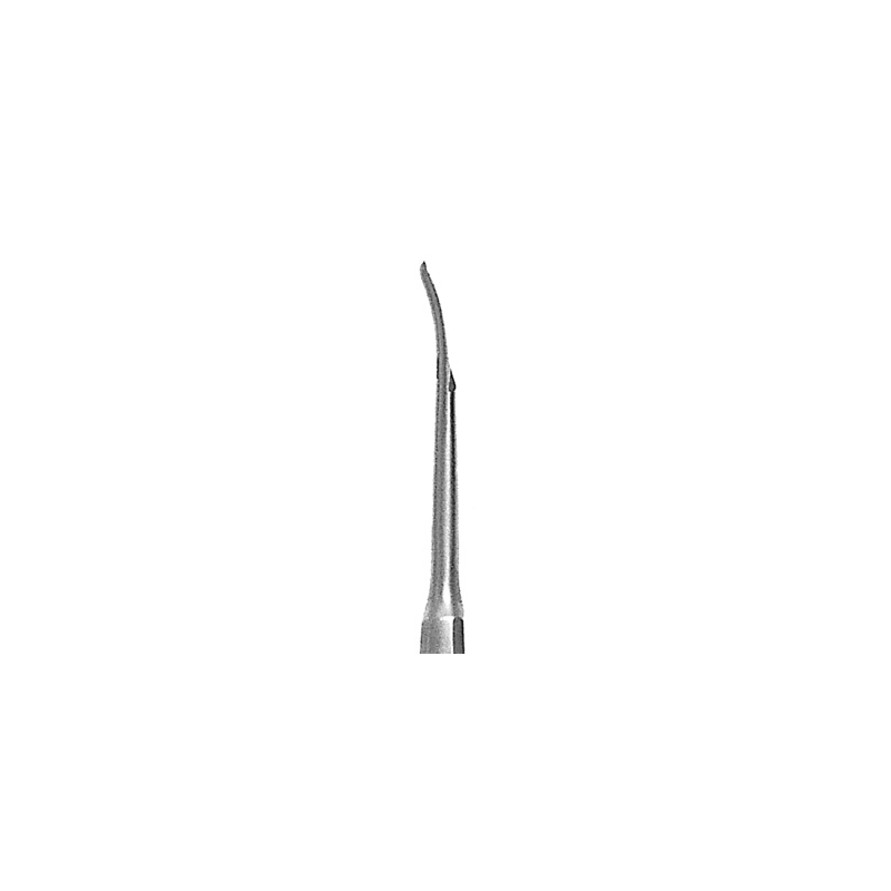Rugine de VEAU Droite