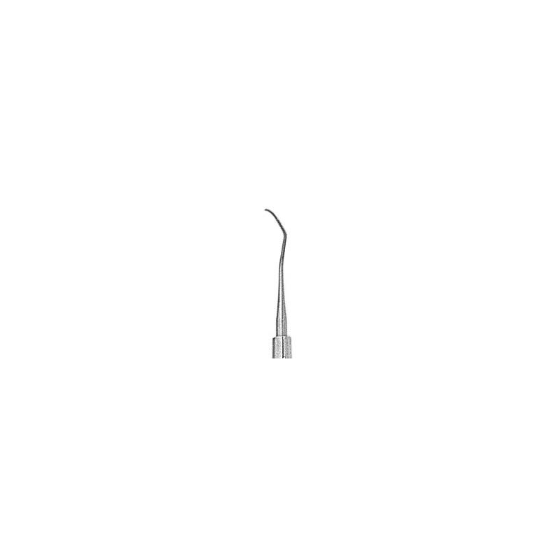 Instr. detartrer 204SD CK6