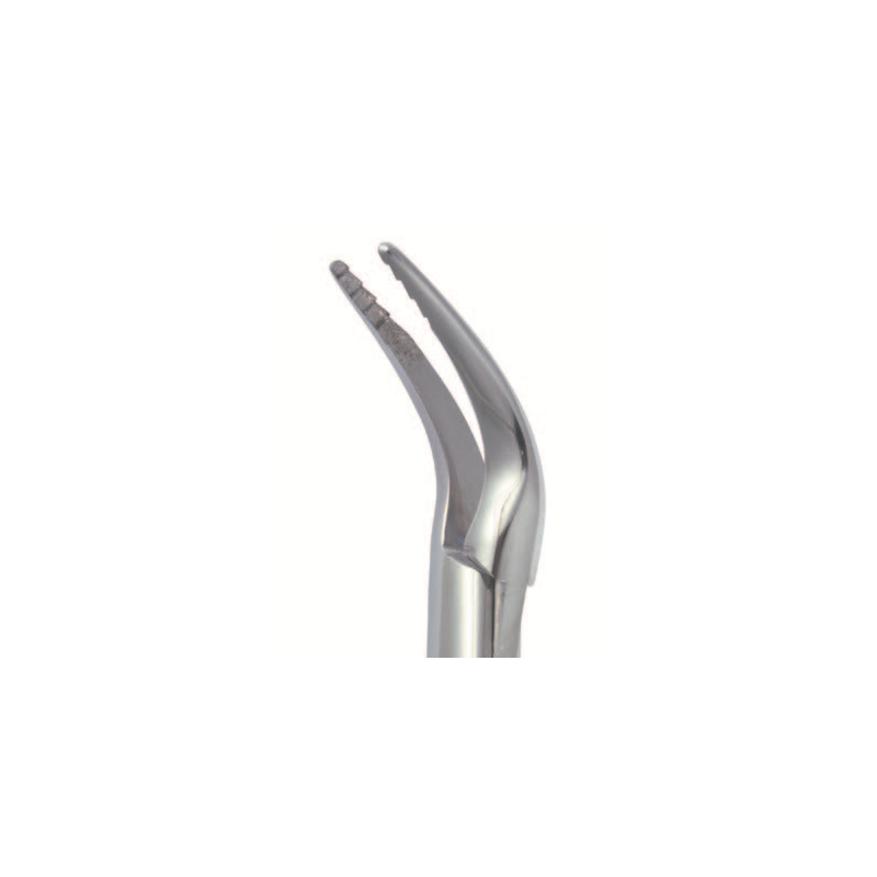 Davier LINDO-LEVIEN fig.600