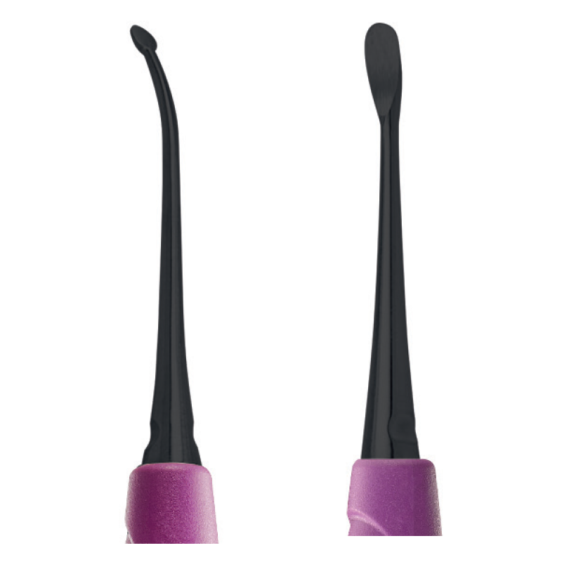 Decol de papille de WENG onyx