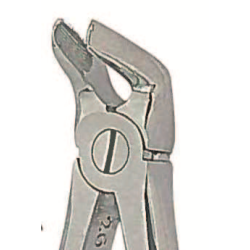 Davier anglais fig.31 AD