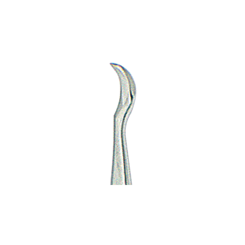 Syndesmotome-elev. CHOMPRET no3
