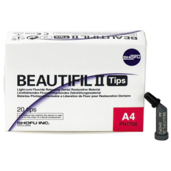 TEINTIER BEAUTIFIL II